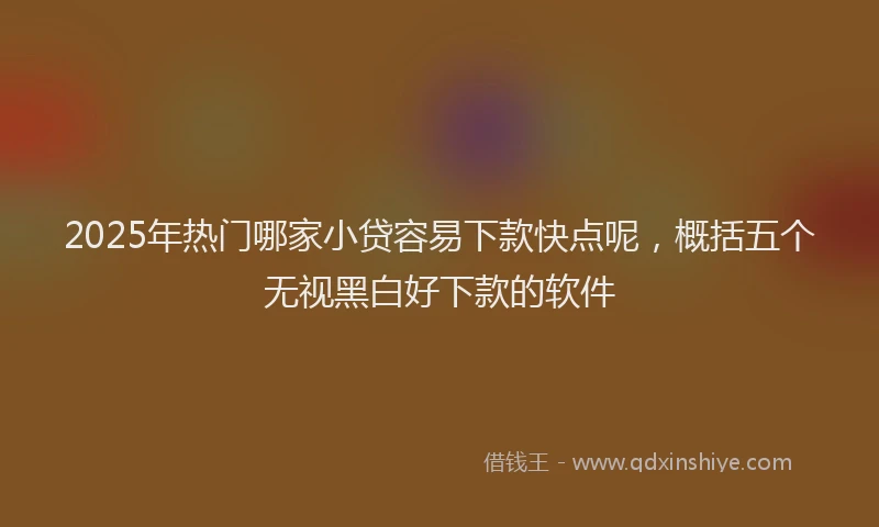 2025年热门哪家小贷容易下款快点呢，概括五个无视黑白好下款的软件