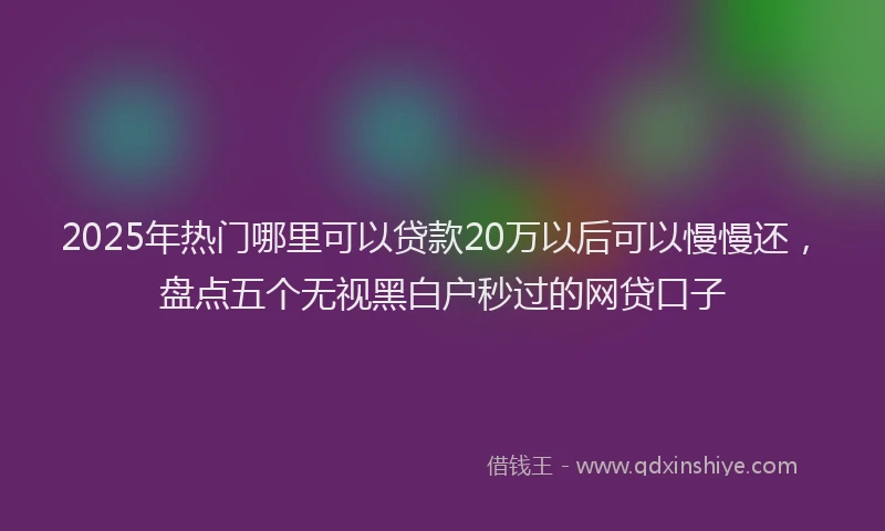 2025年热门哪里可以贷款20万以后可以慢慢还，盘点五个无视黑白户秒过的网贷口子