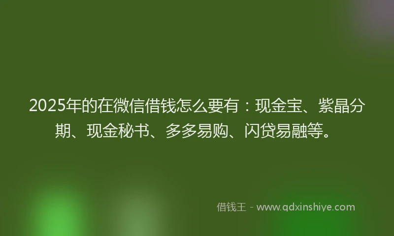 2025年的在微信借钱怎么要有：现金宝、紫晶分期、现金秘书、多多易购、闪贷易融等。