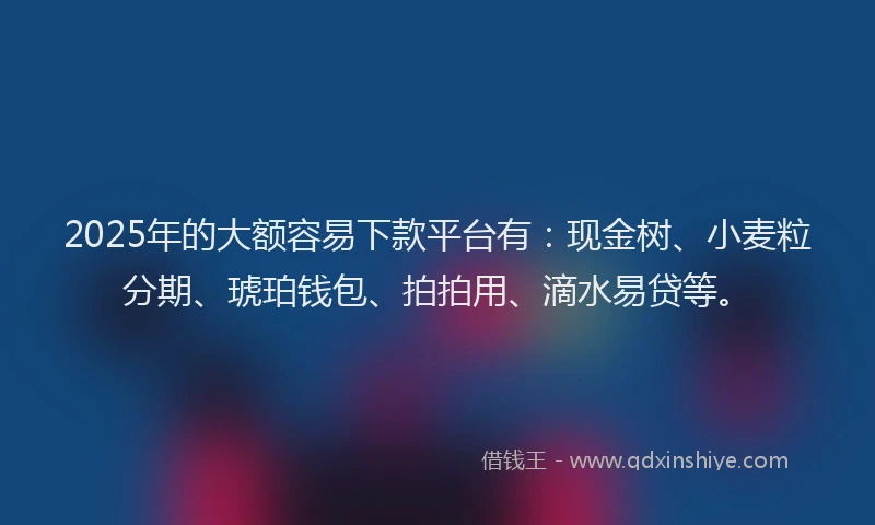 2025年的大额容易下款平台有:现金树、小麦粒分期、琥珀钱包、拍拍用、滴水易贷等。