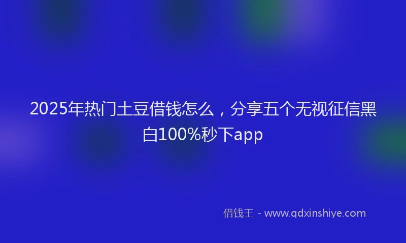 2025年热门土豆借钱怎么，分享五个无视征信黑白100%秒下app