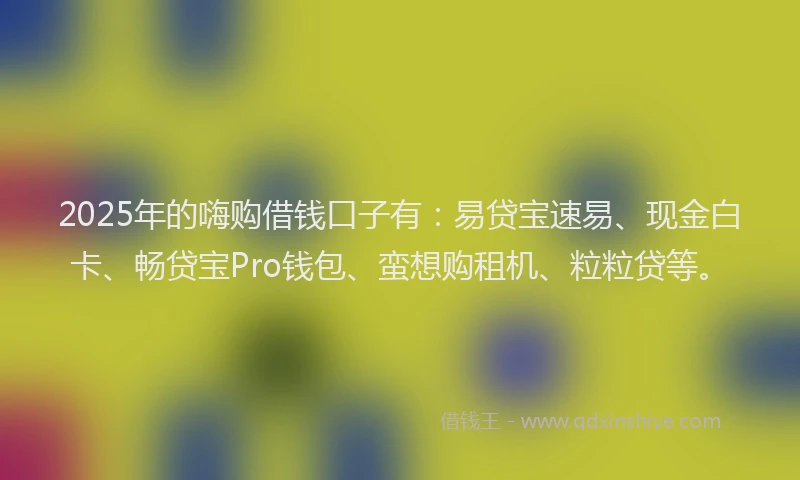 2025年的嗨购借钱口子有：易贷宝速易、现金白卡、畅贷宝Pro钱包、蛮想购租机、粒粒贷等。