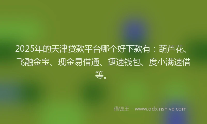 2025年的天津贷款平台哪个好下款有：葫芦花、飞融金宝、现金易借通、捷速钱包、度小满速借等。