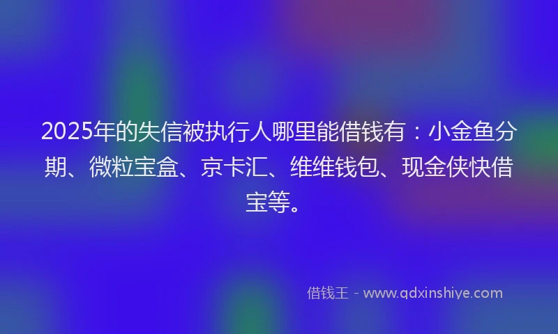 2025年的失信被执行人哪里能借钱有：小金鱼分期、微粒宝盒、京卡汇、维维钱包、现金侠快借宝等。