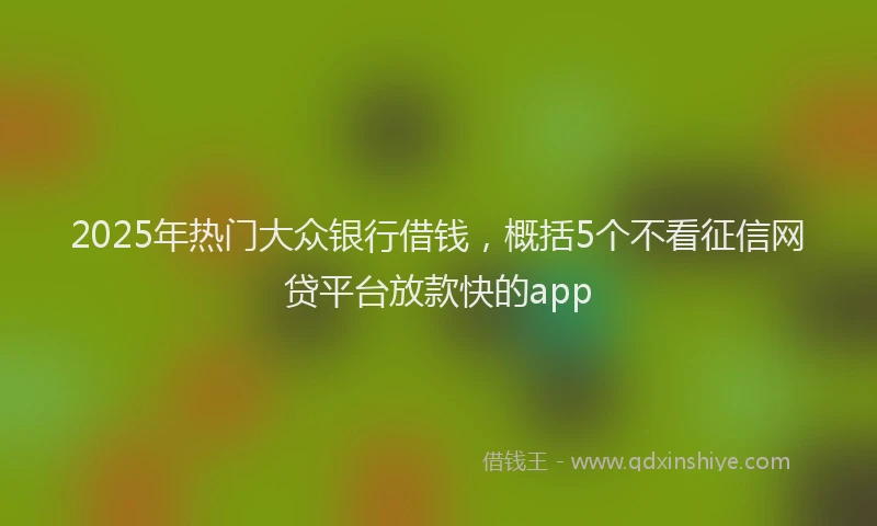 2025年热门大众银行借钱，概括5个不看征信网贷平台放款快的app