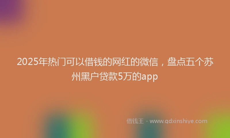 2025年热门可以借钱的网红的微信，盘点五个苏州黑户贷款5万的app