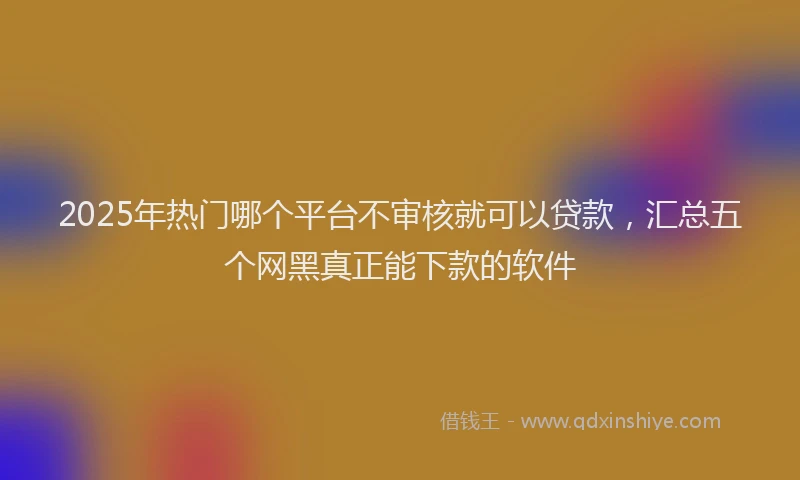 2025年热门哪个平台不审核就可以贷款，汇总五个网黑真正能下款的软件