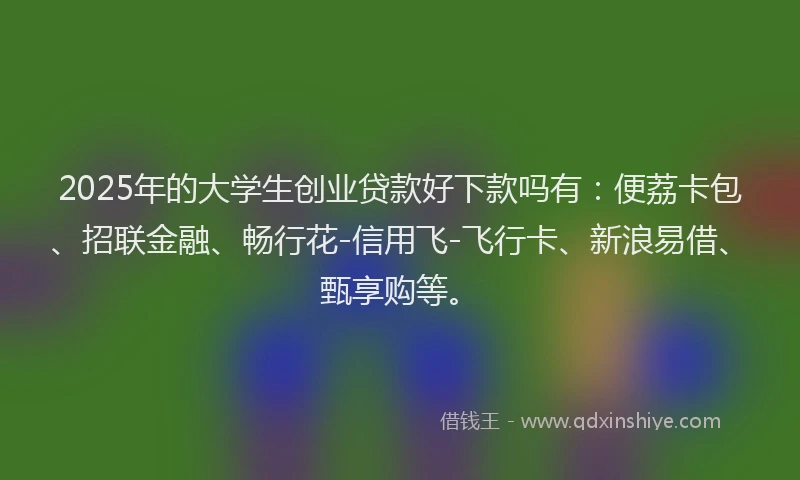 2025年的大学生创业贷款好下款吗有：便荔卡包、招联金融、畅行花-信用飞-飞行卡、新浪易借、甄享购等。