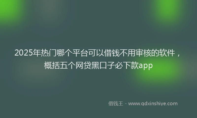 2025年热门哪个平台可以借钱不用审核的软件，概括五个网贷黑口子必下款app
