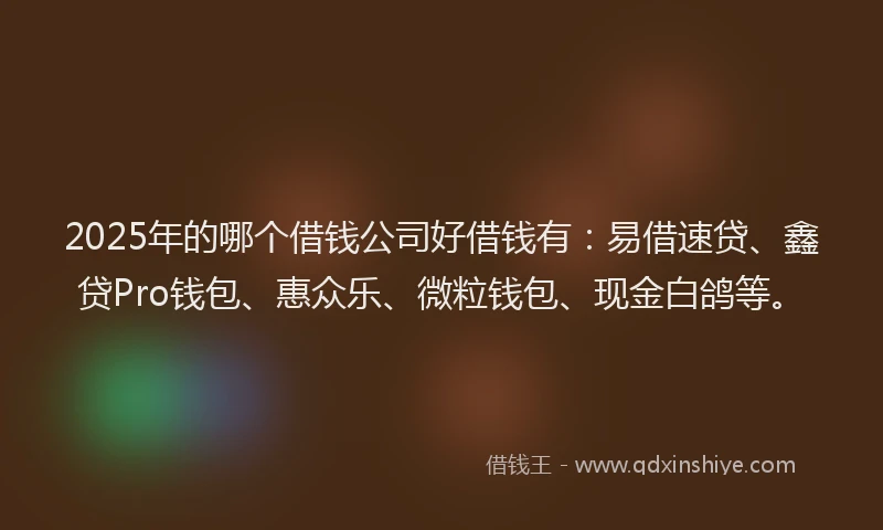2025年的哪个借钱公司好借钱有：易借速贷、鑫贷Pro钱包、惠众乐、微粒钱包、现金白鸽等。