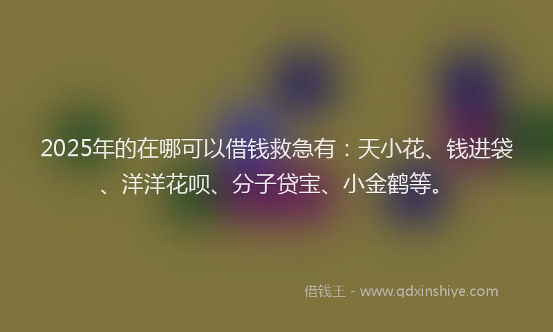 2025年的在哪可以借钱救急有：天小花、钱进袋、洋洋花呗、分子贷宝、小金鹤等。