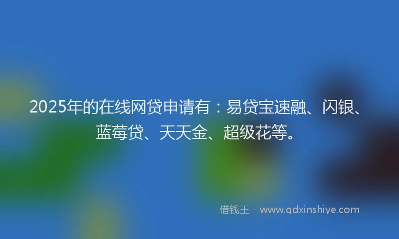 2025年的在线网贷申请有：易贷宝速融、闪银、蓝莓贷、天天金、超级花等。