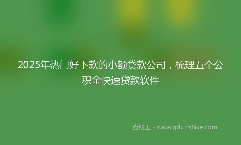 2025年热门好下款的小额贷款公司，梳理五个公积金快速贷款软件