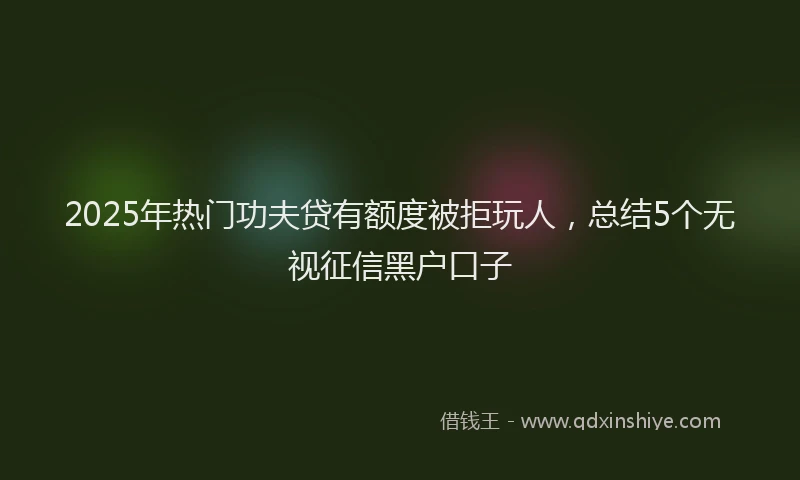 2025年热门功夫贷有额度被拒玩人，总结5个无视征信黑户口子