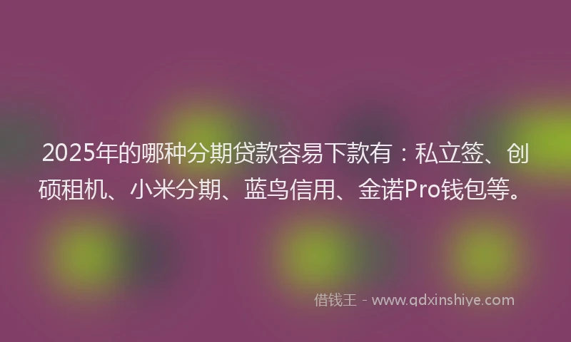2025年的哪种分期贷款容易下款有：私立签、创硕租机、小米分期、蓝鸟信用、金诺Pro钱包等。