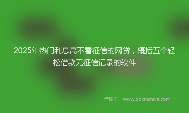 2025年热门利息高不看征信的网贷，概括五个轻松借款无征信记录的软件