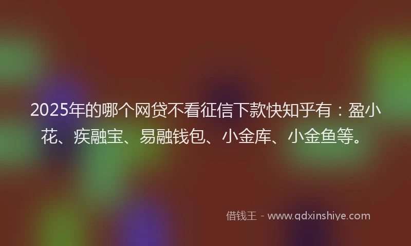 2025年的哪个网贷不看征信下款快知乎有：盈小花、疾融宝、易融钱包、小金库、小金鱼等。