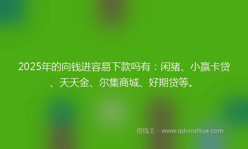 2025年的向钱进容易下款吗有：闲猪、小赢卡贷、天天金、尔集商城、好期贷等。