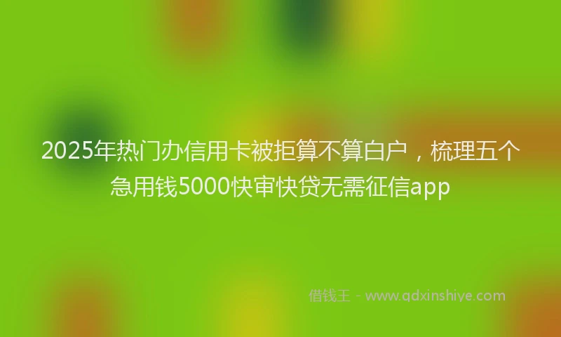 2025年热门办信用卡被拒算不算白户，梳理五个急用钱5000快审快贷无需征信app