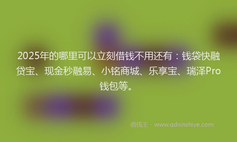 2025年的哪里可以立刻借钱不用还有：钱袋快融贷宝、现金秒融易、小铭商城、乐享宝、瑞泽Pro钱包等。