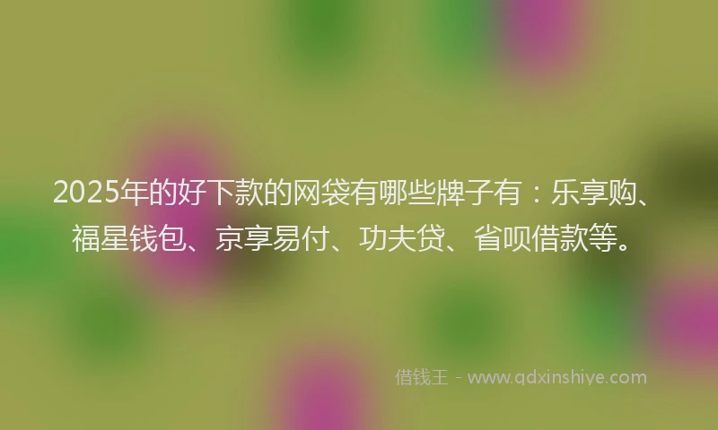 2025年的好下款的网袋有哪些牌子有：乐享购、福星钱包、京享易付、功夫贷、省呗借款等。
