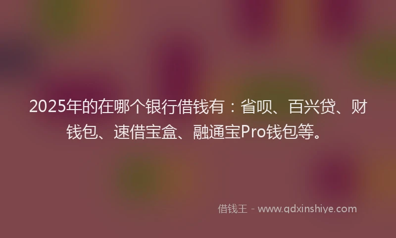 2025年的在哪个银行借钱有：省呗、百兴贷、财钱包、速借宝盒、融通宝Pro钱包等。