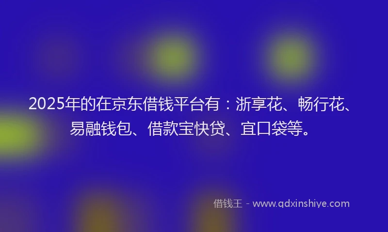 2025年的在京东借钱平台有：浙享花、畅行花、易融钱包、借款宝快贷、宜口袋等。