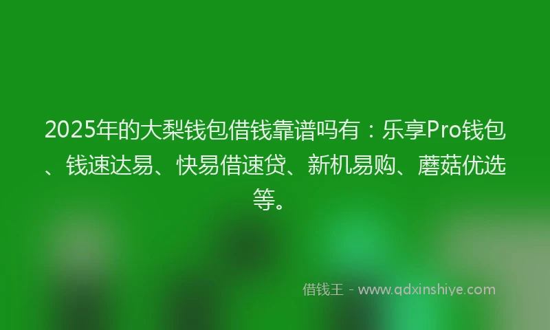 2025年的大梨钱包借钱靠谱吗有：乐享Pro钱包、钱速达易、快易借速贷、新机易购、蘑菇优选等。
