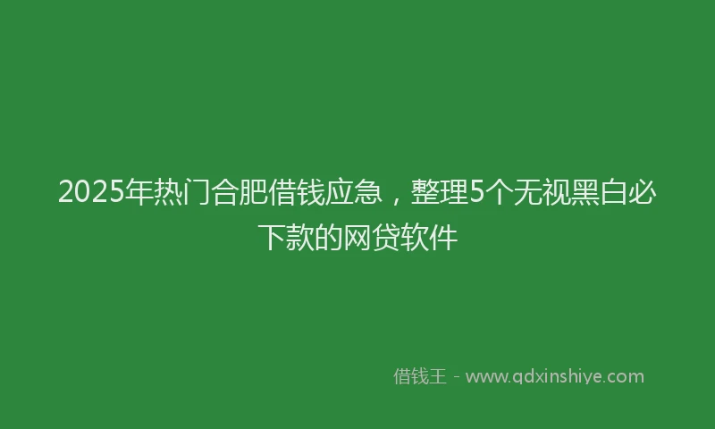 2025年热门合肥借钱应急，整理5个无视黑白必下款的网贷软件