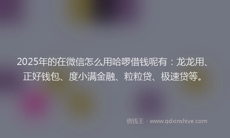 2025年的在微信怎么用哈啰借钱呢有：龙龙用、正好钱包、度小满金融、粒粒贷、极速贷等。