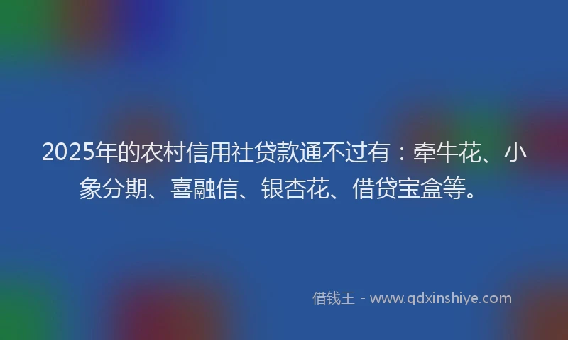 2025年的农村信用社贷款通不过有：牵牛花、小象分期、喜融信、银杏花、借贷宝盒等。