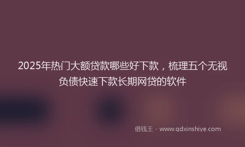 2025年热门大额贷款哪些好下款，梳理五个无视负债快速下款长期网贷的软件