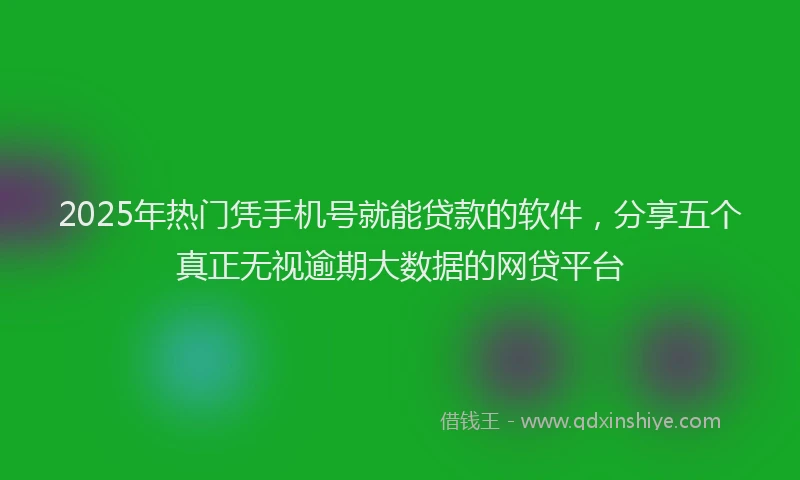 2025年热门凭手机号就能贷款的软件，分享五个真正无视逾期大数据的网贷平台