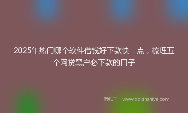 2025年热门哪个软件借钱好下款快一点，梳理五个网贷黑户必下款的口子