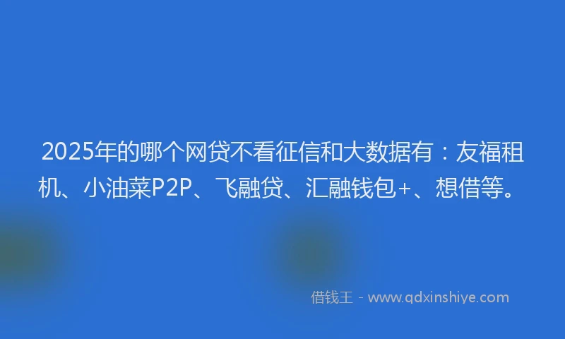 2025年的哪个网贷不看征信和大数据有：友福租机、小油菜P2P、飞融贷、汇融钱包+、想借等。