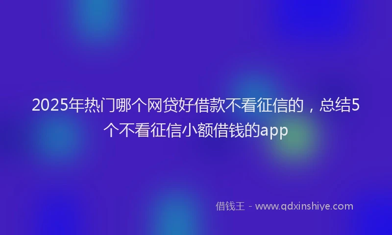 2025年热门哪个网贷好借款不看征信的，总结5个不看征信小额借钱的app