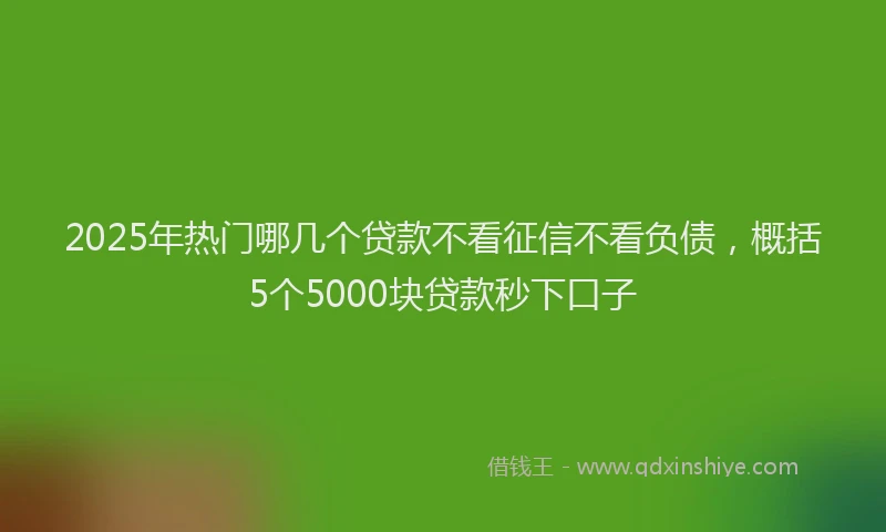 2025年热门哪几个贷款不看征信不看负债，概括5个5000块贷款秒下口子