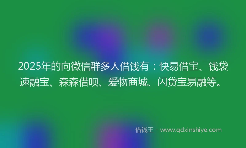 2025年的向微信群多人借钱有：快易借宝、钱袋速融宝、森森借呗、爱物商城、闪贷宝易融等。