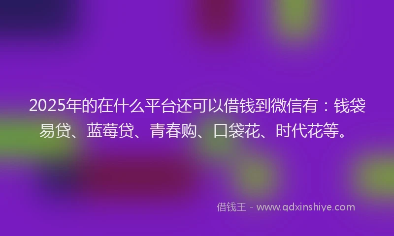 2025年的在什么平台还可以借钱到微信有：钱袋易贷、蓝莓贷、青春购、口袋花、时代花等。