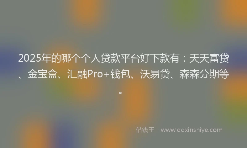 2025年的哪个个人贷款平台好下款有：天天富贷、金宝盒、汇融Pro+钱包、沃易贷、森森分期等。