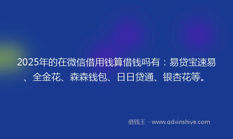 2025年的在微信借用钱算借钱吗有：易贷宝速易、全金花、森森钱包、日日贷通、银杏花等。