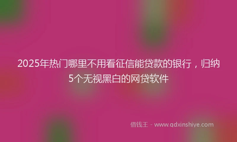 2025年热门哪里不用看征信能贷款的银行，归纳5个无视黑白的网贷软件