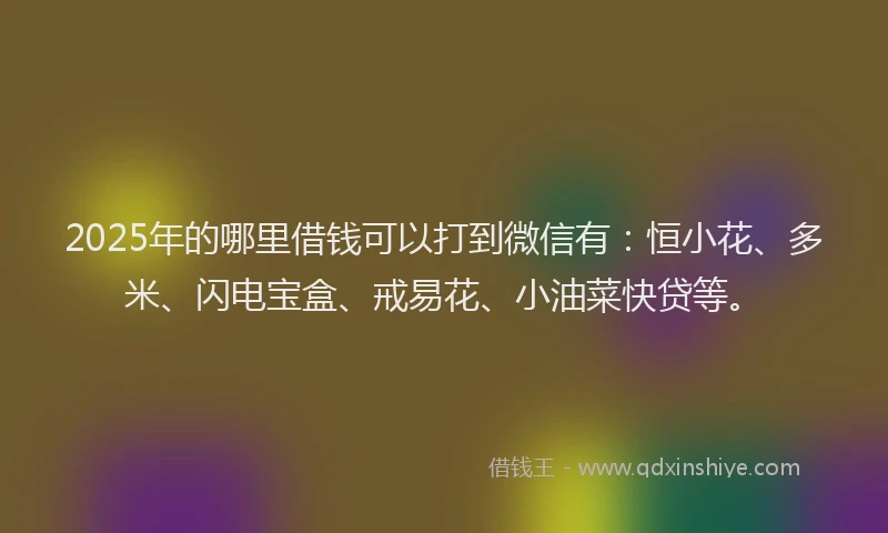 2025年的哪里借钱可以打到微信有：恒小花、多米、闪电宝盒、戒易花、小油菜快贷等。