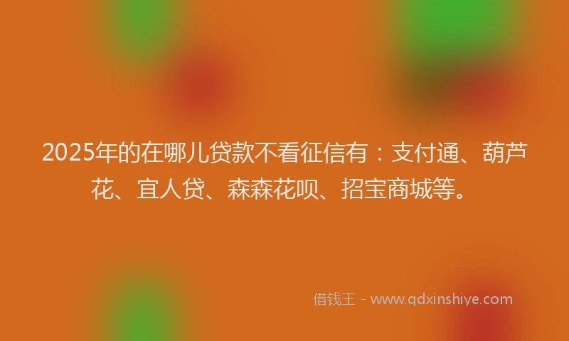 2025年的在哪儿贷款不看征信有：支付通、葫芦花、宜人贷、森森花呗、招宝商城等。