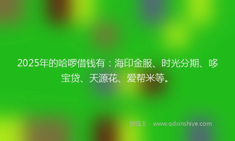 2025年的哈啰借钱有：海印金服、时光分期、哆宝贷、天源花、爱帮米等。