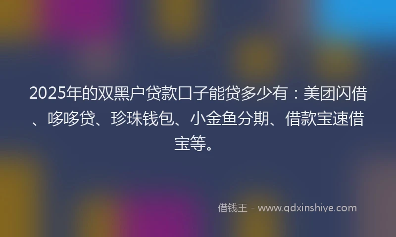 2025年的双黑户贷款口子能贷多少有：美团闪借、哆哆贷、珍珠钱包、小金鱼分期、借款宝速借宝等。