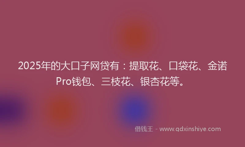 2025年的大口子网贷有：提取花、口袋花、金诺Pro钱包、三枝花、银杏花等。