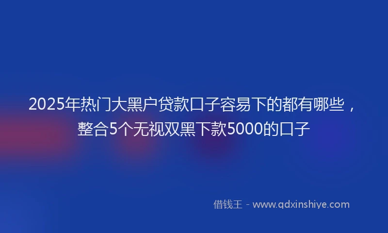 2025年热门大黑户贷款口子容易下的都有哪些，整合5个无视双黑下款5000的口子
