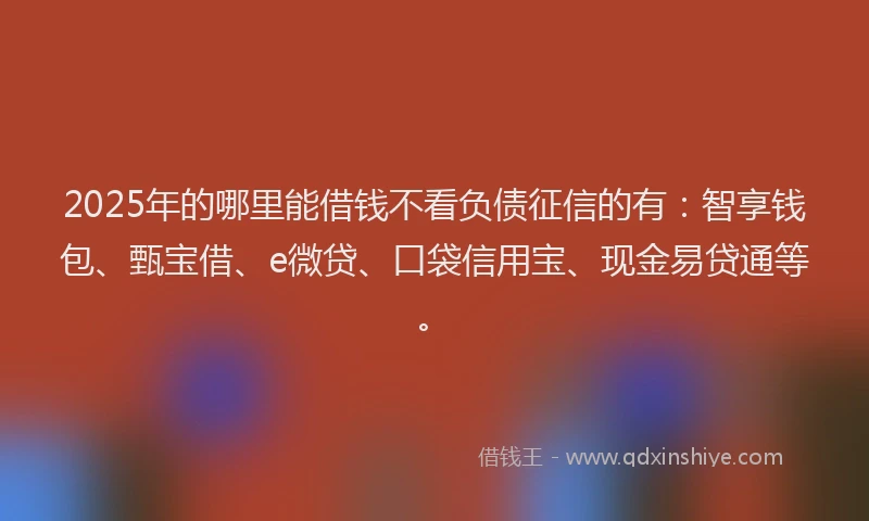 2025年的哪里能借钱不看负债征信的有：智享钱包、甄宝借、e微贷、口袋信用宝、现金易贷通等。