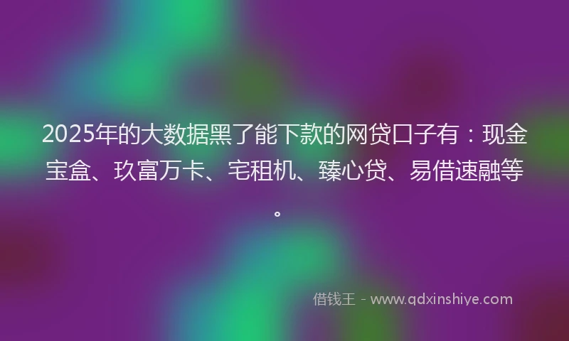 2025年的大数据黑了能下款的网贷口子有：现金宝盒、玖富万卡、宅租机、臻心贷、易借速融等。